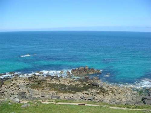 http://www.omega3-ala.com/pics/default/download/3b2cf0104544cfab7fe83ea225c3ece4.jpg