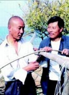 當(dāng)家人