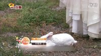 《軒轅劍之天之痕》09.10集預告