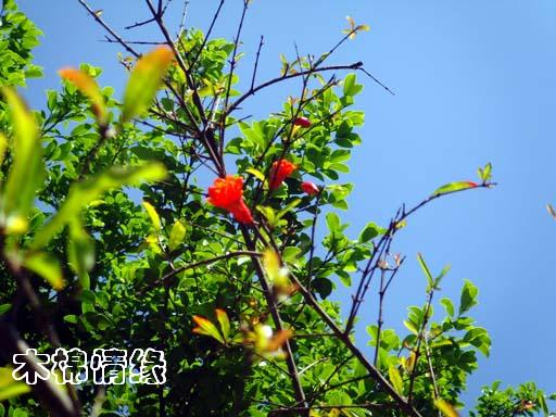 http://www.omega3-ala.com/pics/default/download/3b936208b3557949345eb2adafe82c28.jpg