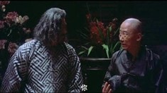 片花之眾星