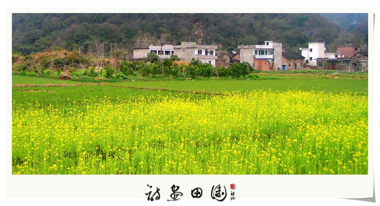 http://www.omega3-ala.com/pics/default/download/3c1538947ebf260e64b8eee9e36a216f.jpg