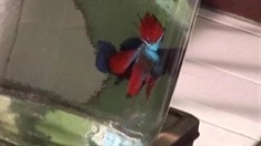 拍攝特輯1