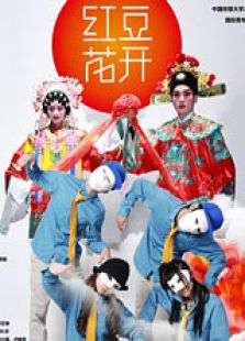 紅豆花開