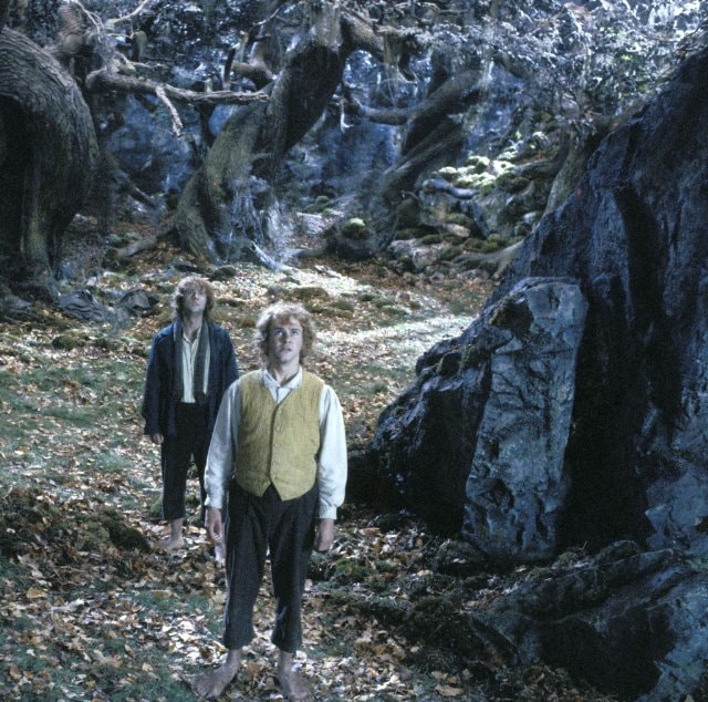 http://www.omega3-ala.com/pics/default/download/3cd9745623dffd979c6bbc7509205e0d.jpg