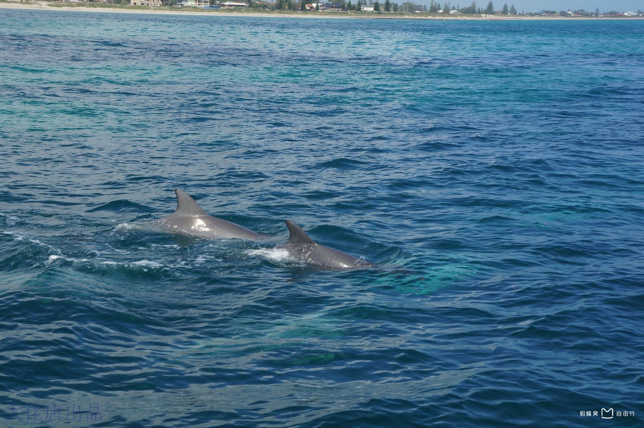 http://www.omega3-ala.com/pics/default/download/3d04c16714de3217e2cc464a3fa19b8d.jpg