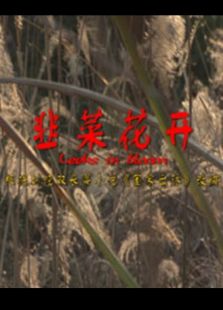 韭菜花開