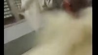 香帥傳奇 - 打戲033仁者無敵戰扶桑