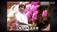 【暴走大事件第四季】53 云南神曲再現，帶你飛go0
