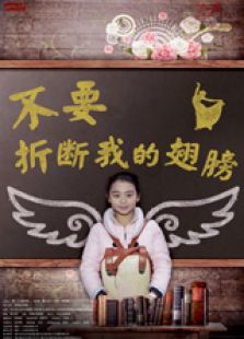 不要折斷我的翅膀