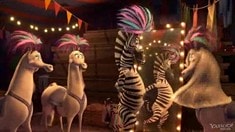 片段之Afro Circus