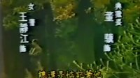 海角天涯（1982年臺視八點檔國語連續劇）