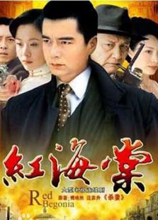 紅海棠