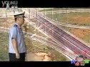 開心茶館《超速行駛”》