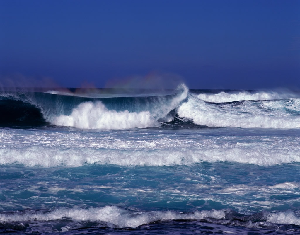 http://www.omega3-ala.com/pics/default/download/3fd33d752592f127307d747bc618436e.jpg