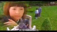 野玫瑰不流淚 電視劇＜女人何苦為難女人＞片尾曲-影視原聲