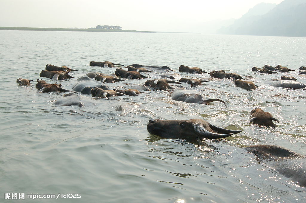 http://www.omega3-ala.com/pics/default/download/402be8a55cd377dc91e3f1bfb345596d.jpg