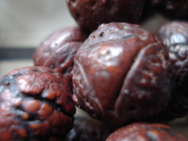 http://www.omega3-ala.com/pics/default/download/40f0ee895c2e8340e76bf1390dfcb469.jpg