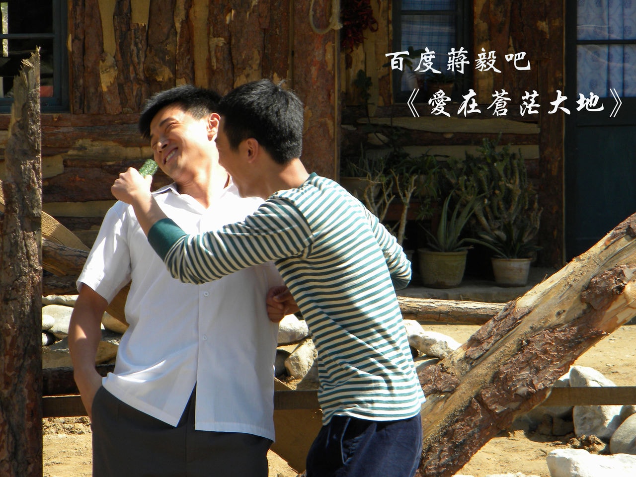 愛(ài)在蒼茫大地  劇照（2）