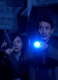 追兇（2009）