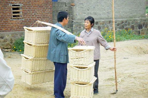 http://www.omega3-ala.com/pics/default/download/41f4806f47e5ff7e0c58028519c9656c.jpg