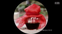 【光in凌晨&話劇團聯合出品】《暗戀桃花源》大工版 終極預告片