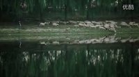 電影《找打》預(yù)告片