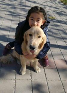 狗狗尋家記