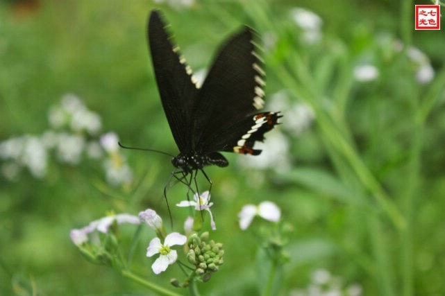 http://www.omega3-ala.com/pics/default/download/4547f599334cae224130dfbd89bfb172.jpg