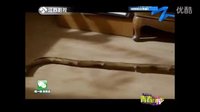 青春萬萬歲阿哲
