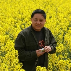 董曉