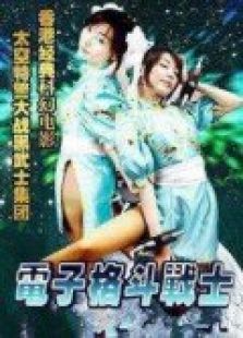 電子格斗戰(zhàn)士