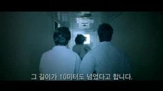 預告片