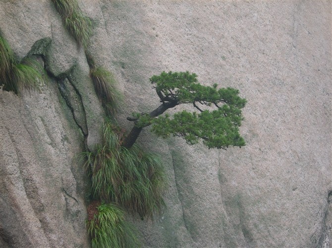 http://www.omega3-ala.com/pics/default/download/4712678bd95565de06ff8d7e8af7ff6e.jpg
