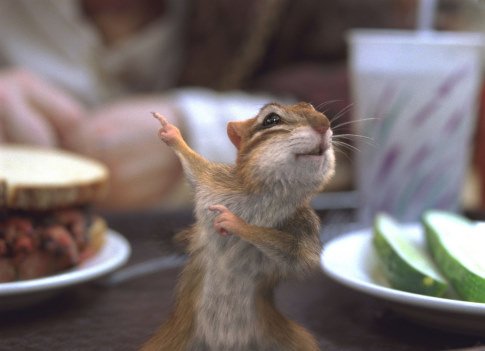 http://www.omega3-ala.com/pics/default/download/471b76cddf66a4974d0c09b9ddc677b7.jpg