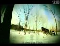 虎踞龍盤 01 (1)