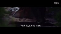 大四喜大電影