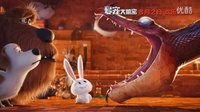 愛寵大機密 小白特輯中文字幕
