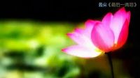 刀郎詞曲 云朵 演唱《最后一滴淚》應該是幸福的眼淚吧