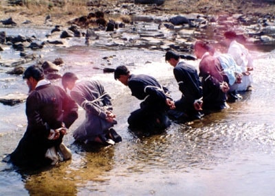 http://www.omega3-ala.com/pics/default/download/47dee0273d4f089fc1faab5ac4ed5e5a.jpg