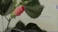 黑河學(xué)院計(jì)算機(jī)科學(xué)與工程系2011迎新生晚會(huì)開場(chǎng)視頻