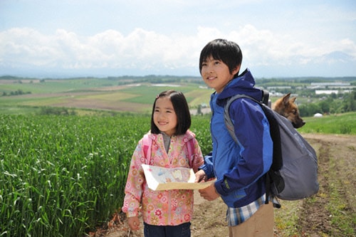 http://www.omega3-ala.com/pics/default/download/48accc3eab05a0b034237a608510fc4d.jpg