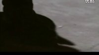 海狼行動——王曉燕