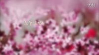 《三生三世十里桃花》【COS】 預告