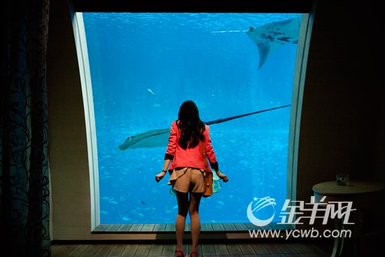 http://www.omega3-ala.com/pics/default/download/49deb6a37fee6d05e9f5201f7a294a1e.jpg