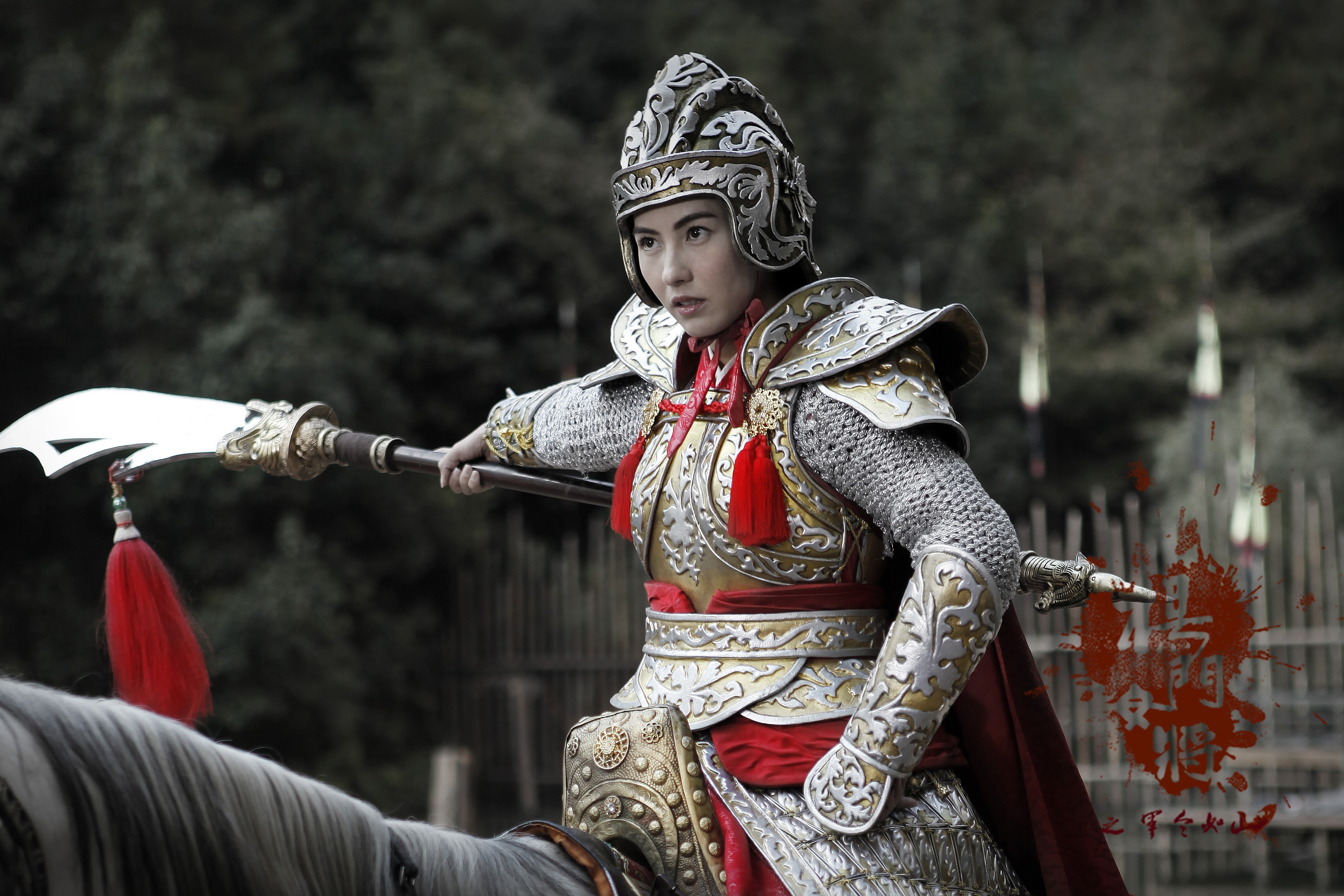楊門(mén)女將之軍令如山  精彩圖冊(cè)2