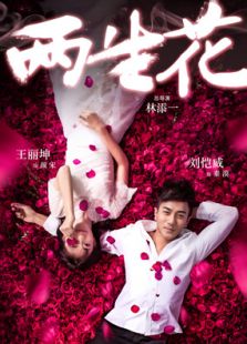 兩生花TV版