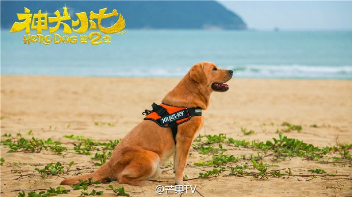 http://www.omega3-ala.com/pics/default/download/4aefb029f1c391563306824dae696982.jpg