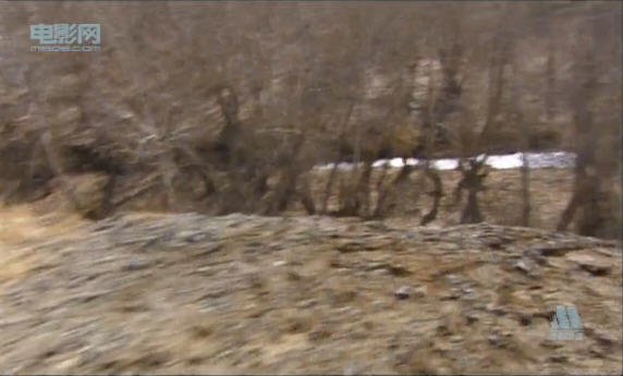 http://www.omega3-ala.com/pics/default/download/4af8b811bc26839963ebfa2a51a78d9f.jpg