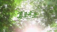 《夏至未至》初見版預告：那些男孩和女孩教會的事兒！
